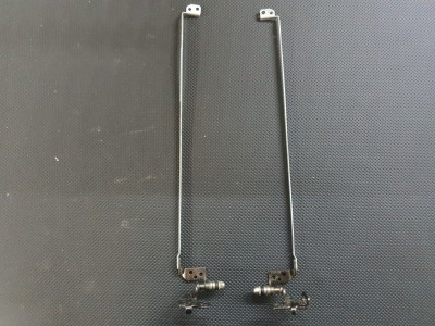 HP Pavilion G6 2000 Menteşe